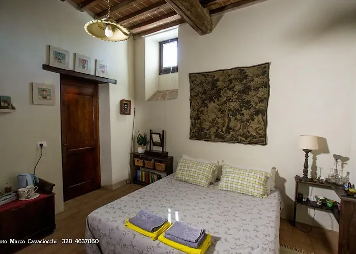 Il Bosso Di Toscana