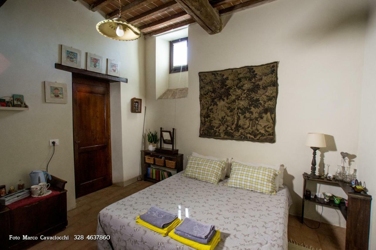 Couette-café Il Bosso Di Toscana 2*