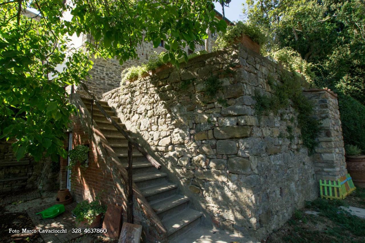 Il Bosso Di Toscana 2*