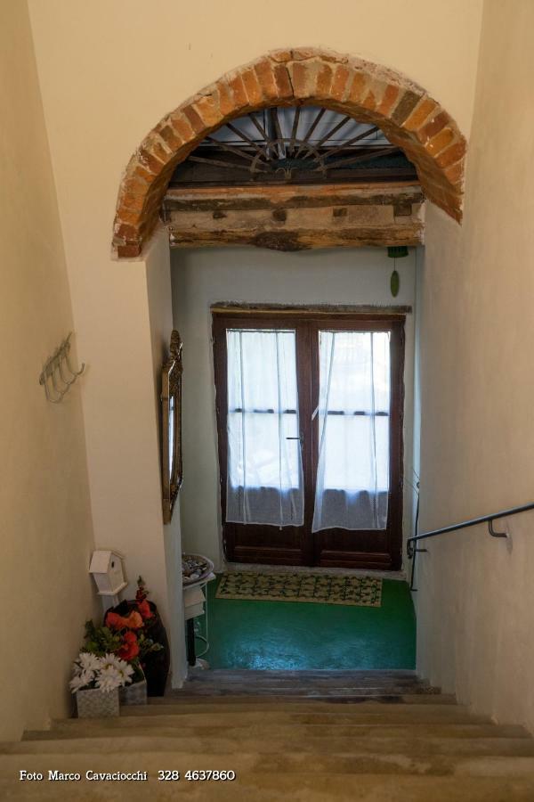 Couette-café Il Bosso Di Toscana 2*