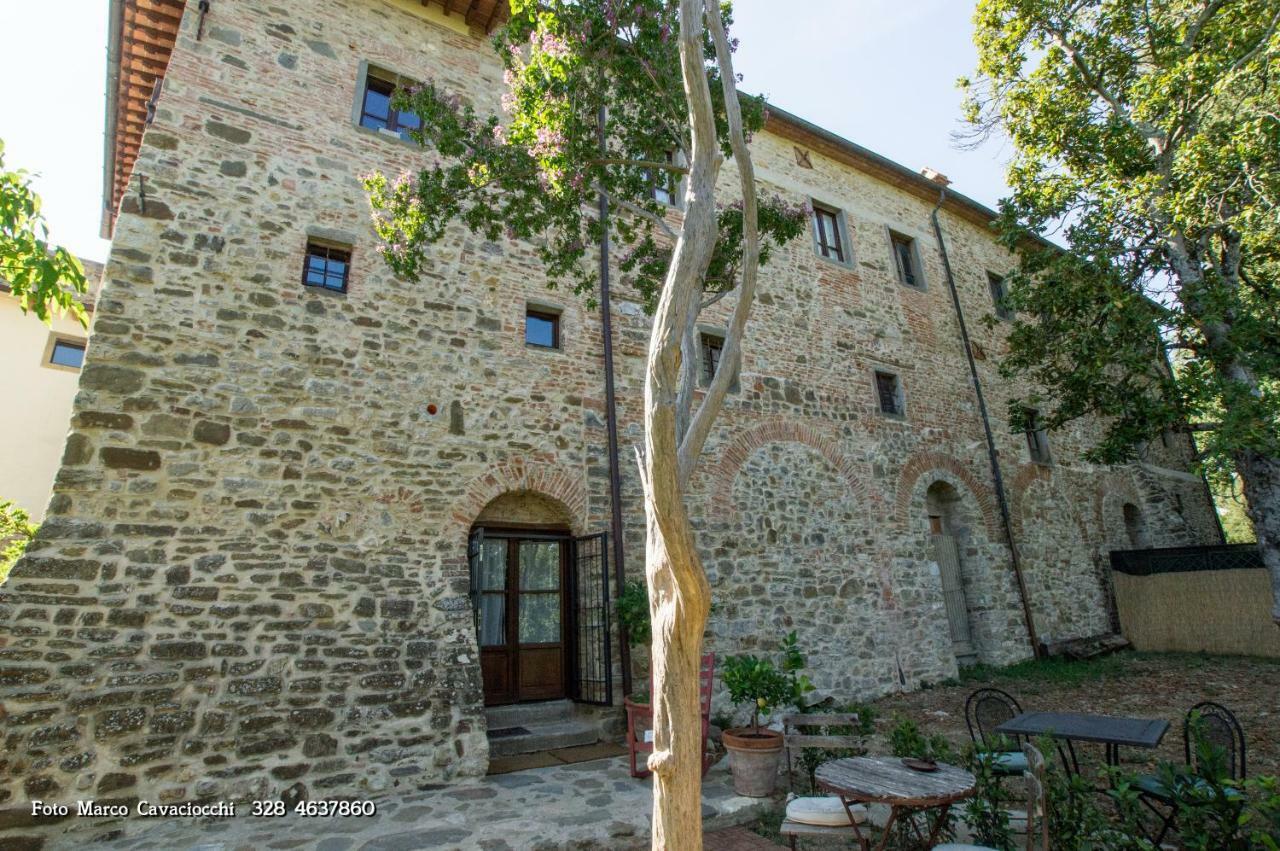 Couette-café Il Bosso Di Toscana 2*