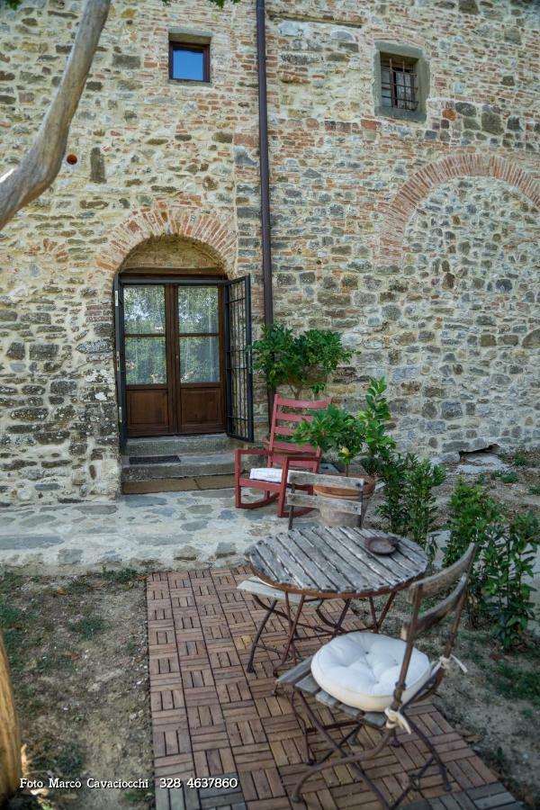 Il Bosso Di Toscana