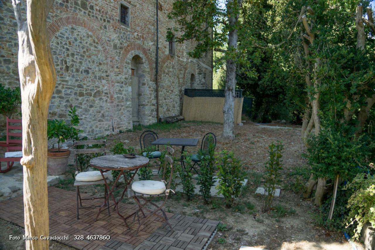 Il Bosso Di Toscana Badia Agnano
