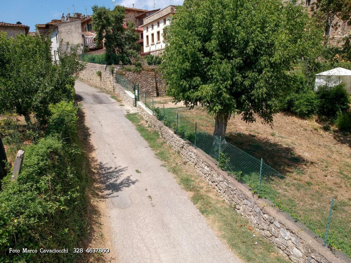 Il Bosso Di Toscana