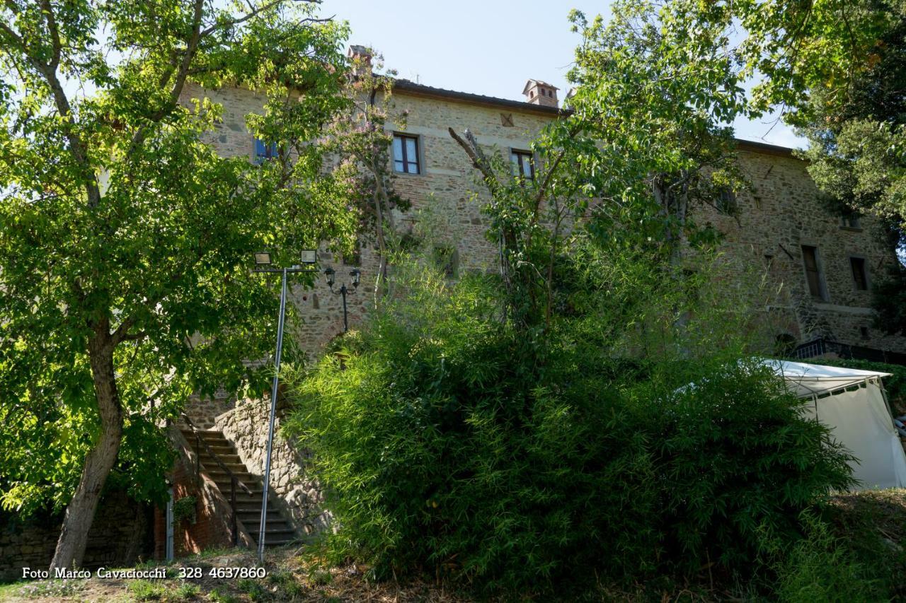 Couette-café Il Bosso Di Toscana 2*