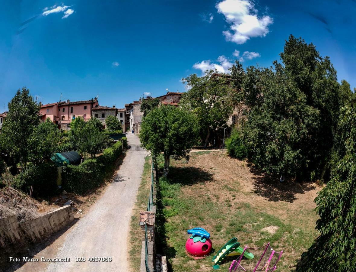 Il Bosso Di Toscana Badia Agnano